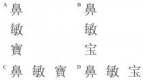 鼻敏寶 鼻敏宝