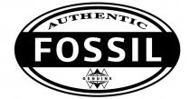 AUTHENTIC FOSSIL GENUINE