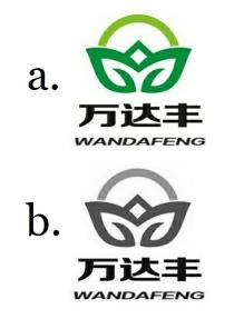 WANDAFENG 万达丰
