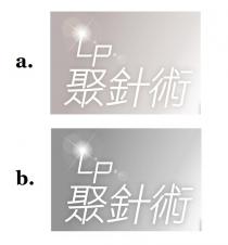LP 聚針術