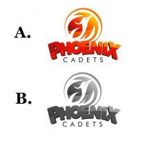 PHOENIX CADETS