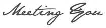 Meeting You