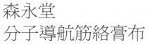 森永堂 分子導航筋絡膏布