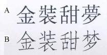 金裝甜夢 金装甜梦