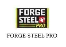 FORGE STEEL PRO