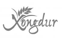 Xongdur