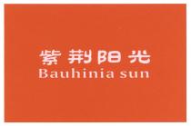 Bauhinia sun 紫荆阳光
