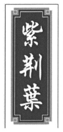 紫荆葉