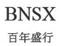 BNSX 百年盛行