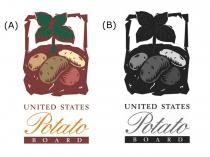 UNITED STATES Potato BOARD