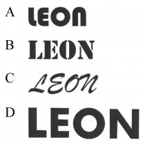 LEON