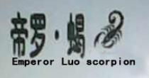 Emperor Luo scorpion 帝罗蝎