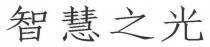 智慧之光