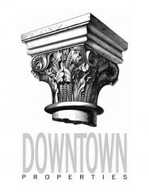 DOWNTOWN PROPERTIES