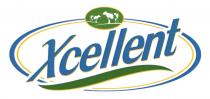 Xcellent