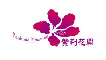 Bauhinia Blooming 紫荆花開
