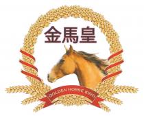 GOLDEN HORSE KING 金馬皇