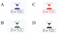 RNIC
