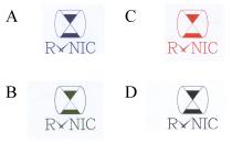 RNIC