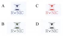 RNIC