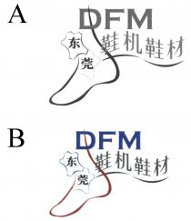 DFM 东莞 鞋机鞋材