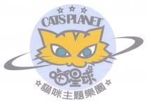 CATS PLANET 喵星球 貓咪主題樂園