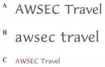 AWSEC Travel awsec travel