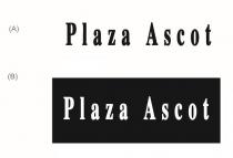 Plaza Ascot
