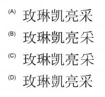 玫琳凯亮采 玫琳凱亮采