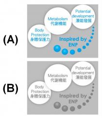 Potential development Metabolism Body Protection Inspired by ENP 潛能發展 代謝機能 身體保護力