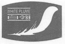 WHITE PLUME 白翎