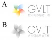 GVLT 金沙河志愿者工程