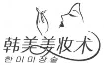 韩美美妆术