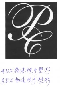PC 4DX 8DX 極速徒手塑形