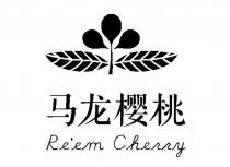 Re'em Cherry 马龙樱桃