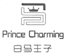 Prince Charming 白马王子