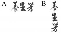 養生芳