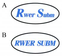 Rwer Subm RWER SUBM