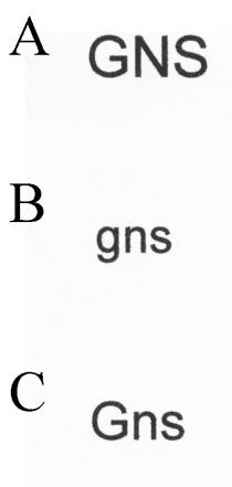 GNS gns Gns