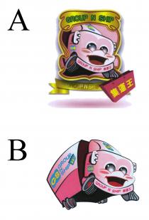 GROUP N SHIP GS GROUP N SHIP 集運王