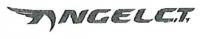 NGELCT