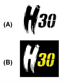 H30