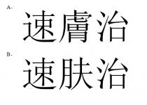 速膚治 速肤治