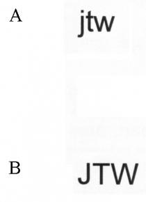 jtw JTW
