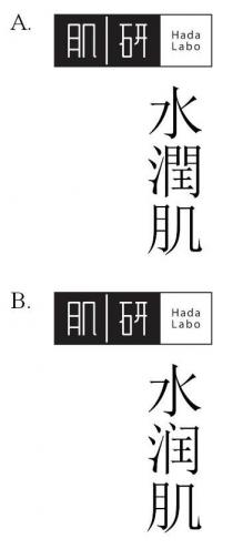 Hada Labo 肌研 水潤肌 水润肌