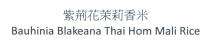Bauhinia Blakeana Thai Hom Mali Rice 紫荊花茉莉香米