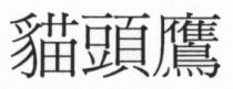 貓頭鷹