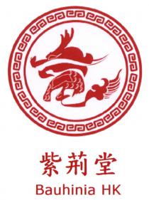 Bauhinia HK 紫荊堂