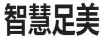 智慧足美