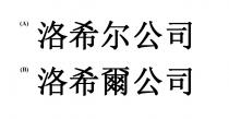 洛希爾公司 洛希尔公司